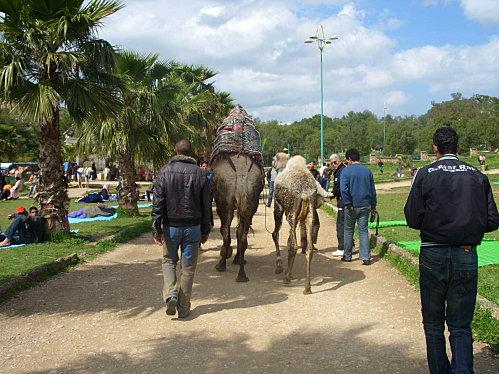 Voyage et repas en famille