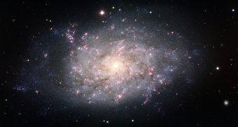 La galaxie spirale NGC 7793