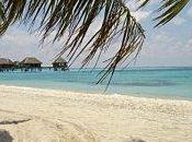 [F1Buzz] Week-end repos