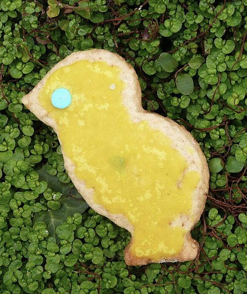 Biscuits de Pâques à chasser dans le jardin...