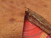 Etoile délice noisettes