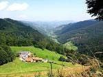 Route des Crêtes, Massif des Vosges, ecotourisme Alsace