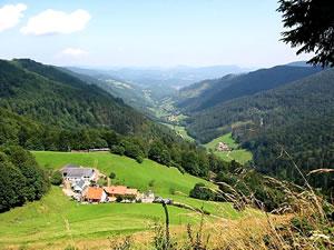 Vallée Liepvrette, écotourisme Vosges
