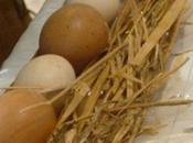 chasse l'oeuf ouverte