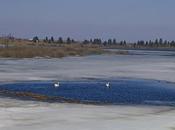 Printemps 2009, déguster!