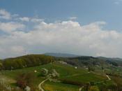 Paysages Forêt Noire printemps