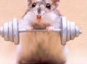 j'ai articulations craquent !!!!!