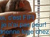 plus, elles parlent, piafs!