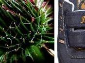 C'est fruit d'une plante permis l'invention scratch