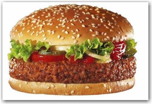 giant_burger_frei