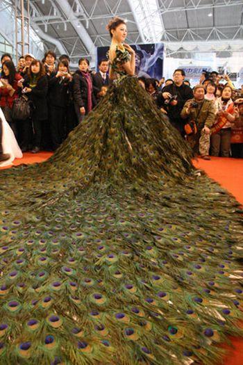 Robe de mariée en plumes de paon