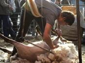 Flash special recrutement 2eme**