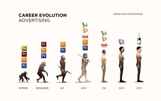 Career Evolution