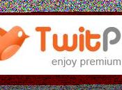 premium tweets