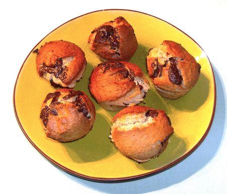 muffinscocochocoadle.jpg