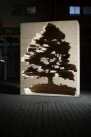 Quand le livre redevient ar(t)bre avec Kylie Stillman