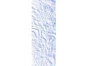 Ecrire Acrostiche Véronique Dubois