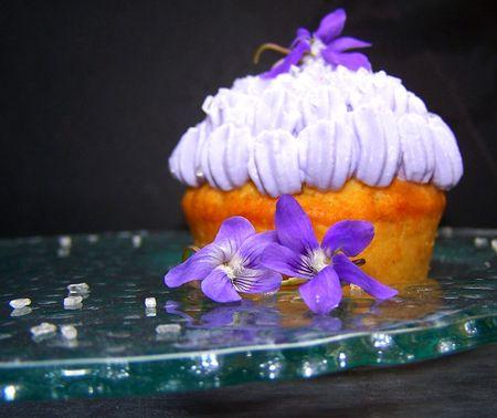 Muffins_violette1