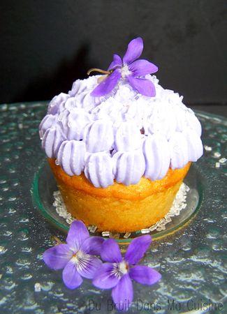 Muffins_violette3