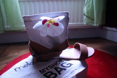 Achat du soir Bonsoir