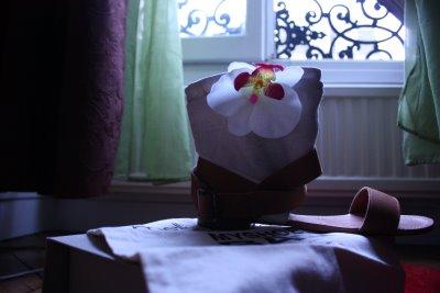 Achat du soir Bonsoir