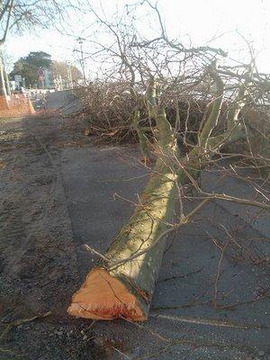 saint nazaire, ça vous la coupe