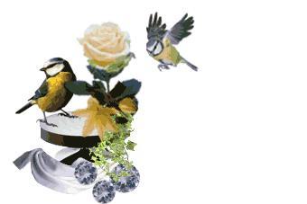 Merci à Eléonore du Blog à votre seul désir! Merci à Eléonore du Blog à votre seul désir!