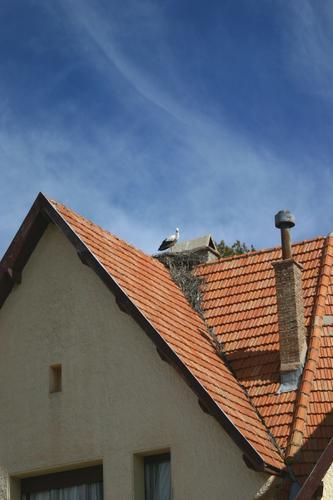 Cigogne et son nid sur un toit du centre-ville [Ifrane, Maroc]