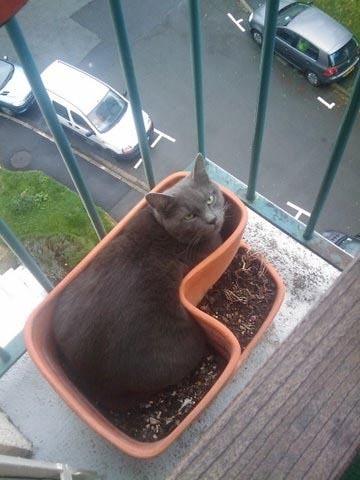 zigouzis _ boutique de créateurs _ rue des vinaigriers _ paris 10zz