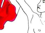 défenseur droits (article 71-1 Constitution) BARIGANT Victoria, GAMA Elodie SINGH Charlotte