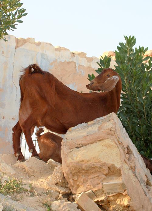 les-derniers-plaisirs-11