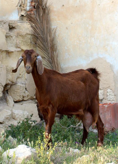 les-derniers-plaisirs-4