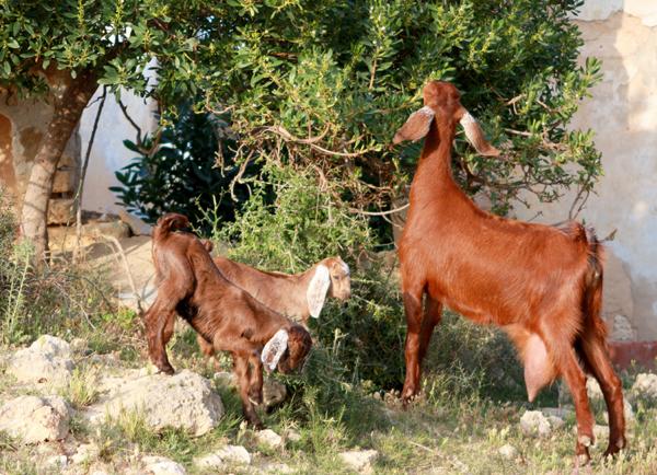 les-derniers-plaisirs-6