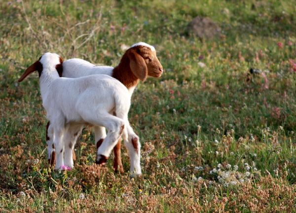 les-derniers-plaisirs-7