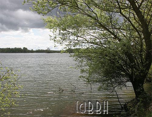 Lac de Maine Angers