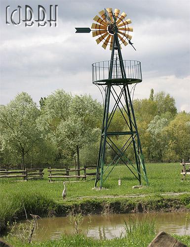 Parc Balzac Angers: héron