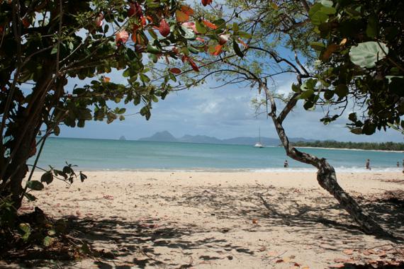 plage_martinique