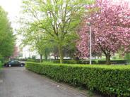 Et le décompte commence...