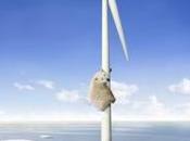 Journée mondiale Terre