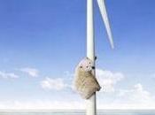 Maan päivä Journée Terre 2009