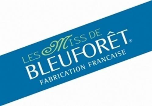 bleuforêt_logo.jpg