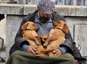 Mendicité, Cercle silence Bosser tue.
