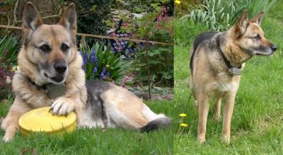 Tour d'horizon de la Blogosphère : Blog N°1