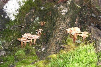 Tour d'horizon de la Blogosphère : Blog N°1