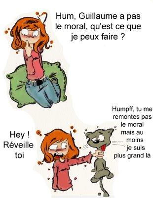 carglace répare... carglace remplace