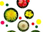 Mode macro micro milieu