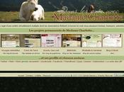 Quelques nouveautés