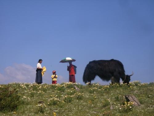 festival-tibetain2