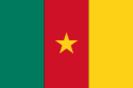 Cameroun : tension sur les prix des manuels scolaires