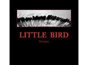 Little Bird, Craig Johnson, chapitre télécharger